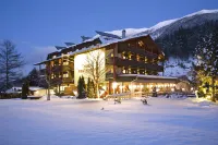 Geniesserhotel Alpin Gmbh - Wifi