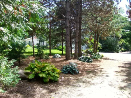 Loya's Little House Bed & Breakfast