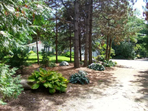 Loya's Little House Bed & Breakfast