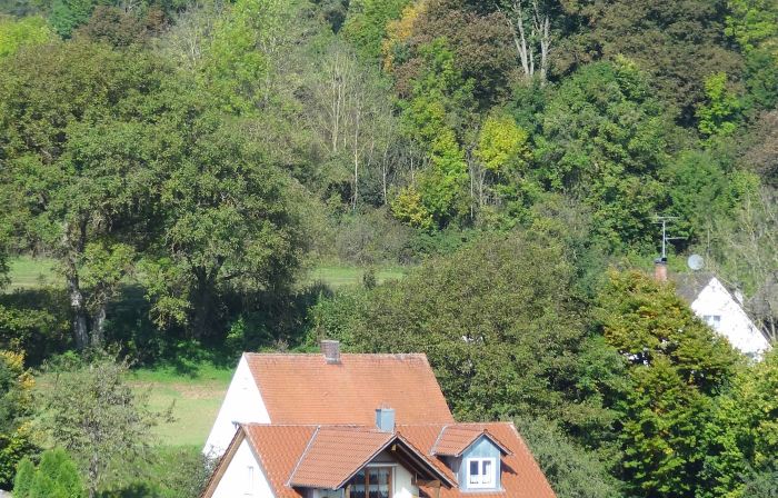 Donauer im Altmühltal - Ferienwohnungen