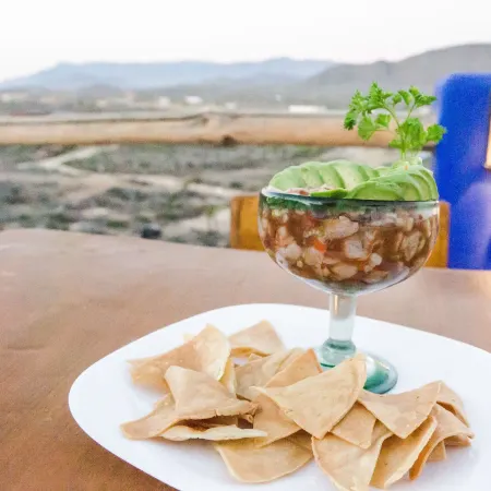 Cerritos Beach Hotel Desert Moon