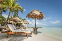 Beachfront Hotel la Palapa - Adults Only - Beach