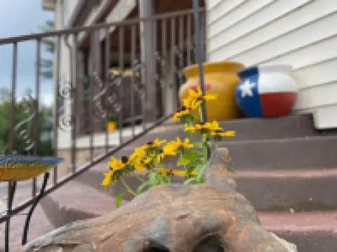 Summit Inn Hotels in Cloudcroft