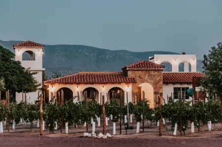 Hacienda Los Olivos, Valle de Guadalupe