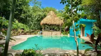 Gardenhotel Macan Ché B&B - piscina