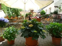 Hotel Restaurant Roter Ochsen - Parkplatz