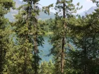 Twin Rivers Motel Castlegar Hotels in Castlegar