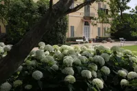 Villa Doria il Torrione Hotel a Vigone