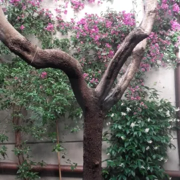 Hotel I' Fiorino