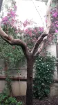 Hotel I' Fiorino Hotels in Empoli