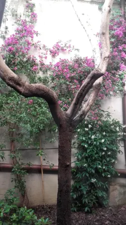 Hotel I' Fiorino Отели рядом с достопримечательностью «Piazza della Vittoria»