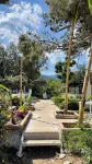 Bellerofon Beach Otel