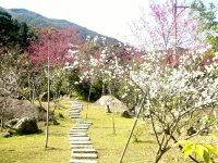 Riverside Homestay B&B Hotels near Sun Link Sea