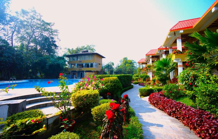 Hotel Jungle Crown