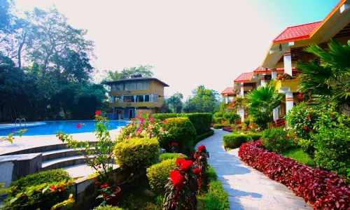 Hotel Jungle Crown