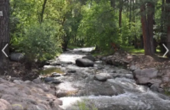 Ponderosa Cabins 104 N Laurel cabin 20