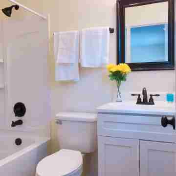 Beautiful Apartment in Historic Downtown Location Rooms