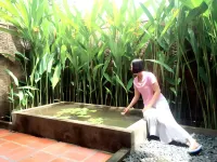 Mekong Ecolodge Bungalow Hotels in 