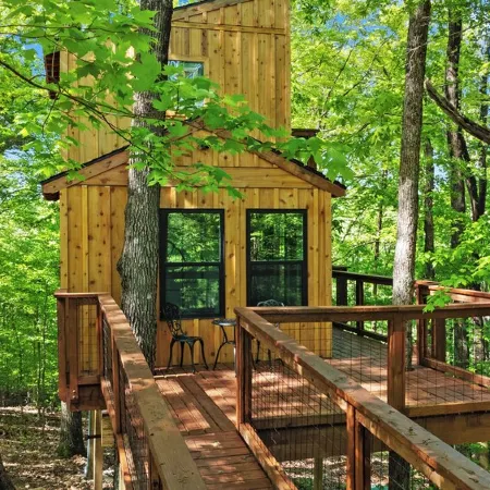 Private Treehouse getaway on Lake Barkley.  Luxury in the trees!