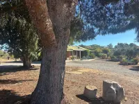 Retreat to Willunga Farmhouse. Attractions Willunga Market, Wineries, Walking Hotels in Willunga