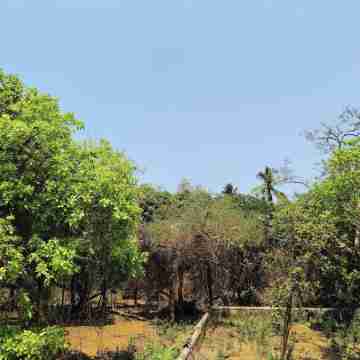 Charming studio in wonderful Vagator Beach Goa Hotel Exterior