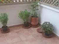 Location Vacances ou Travail Bord de Mer Hotels in El Mansouria