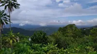 Treehouse on a Coffee Farm with Ocean View