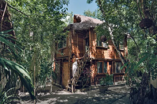 Anand Ecoaldea - Jungle Villa in Puerto Morelos