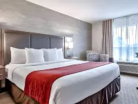 كومفورت إن آند سويتس إيربورت ساوث Hotels near ماكس بيل سنتر