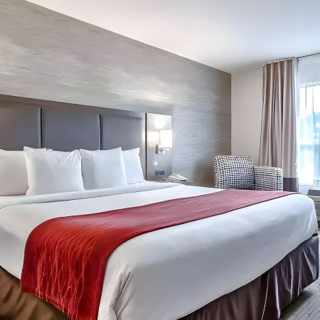 Comfort Inn & Suites Airport South