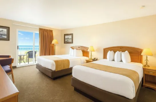 Bridge Vista Beach Hotel and Convention Center Các khách sạn ở 