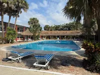 Hotel Plaza Palmas - Pools