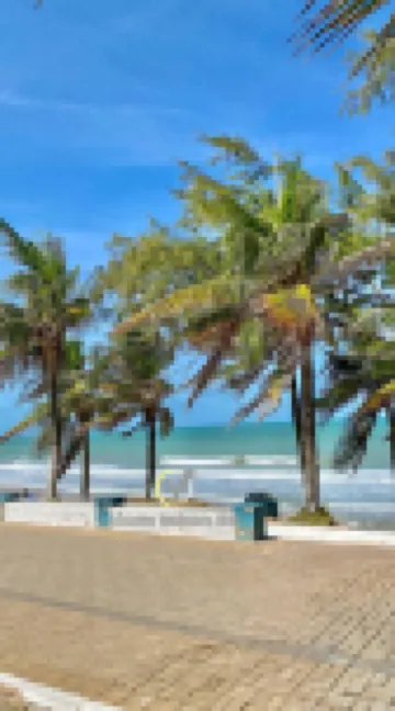 Araçá pé na Areia