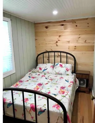 Remodeled lakefront cottage w/ marina, firepit, swimming area.
