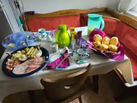 Wald-Ferienwohnung in Wildemann - Apartments