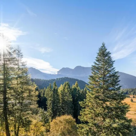 Mountain Views & Slope Access