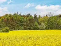 20 person holiday home in Hasselberg