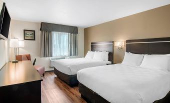 Econo Lodge Inn & Suites