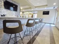 Hilton Garden Inn West des Moines - bar