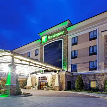 Holiday Inn ARLINGTON NE-RANGERS BALLPARK by IHG