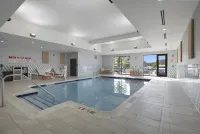 Holiday Inn CHICAGO – TINLEY PARK by IHG - Pools