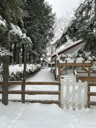 Cozy All-Season Family Cottage in Balm Beach!