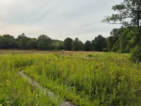 4 star holiday home in Hovborg-By Traum Hotels in Hovborg