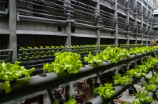 Greenhost Boutique Hotel Prawirotaman Hotel di Yogyakarta