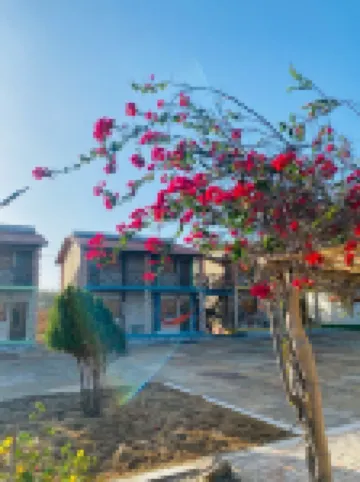 POUSADA LICOR DE CAJU فنادق في 