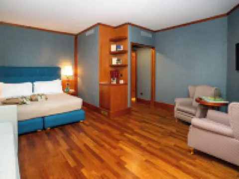 杜卡德斯特大酒店 蒂沃利酒店