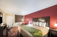 이코노 로지 I-40 엑시트 286 홀브룩