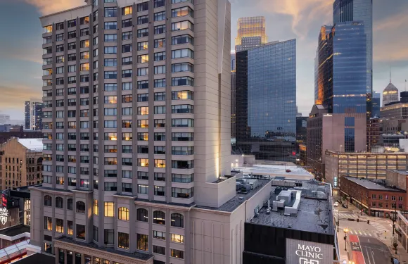 希爾頓集團的明尼阿波利斯，掛毯收藏