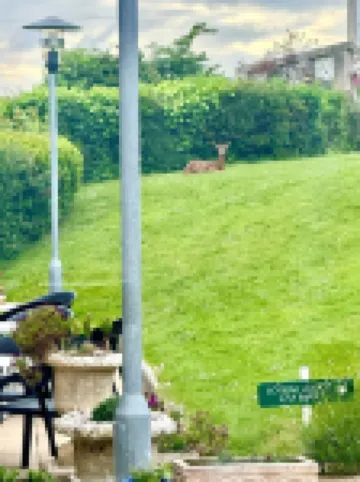 Louisa Lodge & Purbeck House Hotel Hotels in Swanage