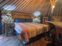 Poindexter’s Palace-A Yurt and A Tiny Home!